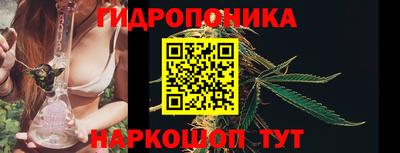 сатива Кинель