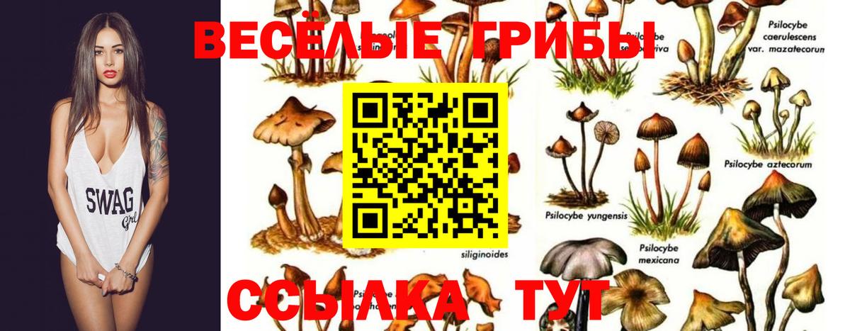 Галлюциногенные грибы ЛСД Ярцево