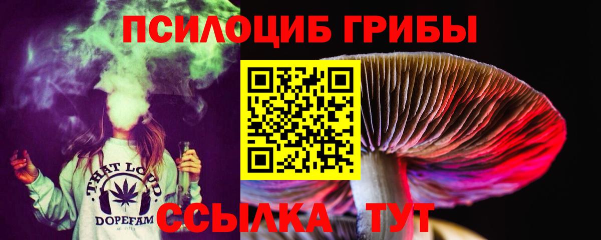 Псилоцибиновые грибы Cubensis  Вход с VPN  Галлюциногенные грибы Cubensis  как найти закладки  Ярцево 